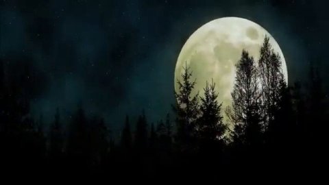 ПОЛНЫЙ КОРАН #ислам #оркачи #насихат #дагестан #коран