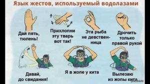 Сурдоперевод | Как разговаривать с коллекторами по телефону