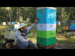 Захочешь не получится, 2 матки