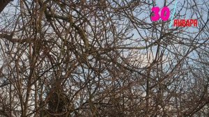 30 ЯНВАРЯ 2024 ЧТО НЕЛЬЗЯ ДЕЛАТЬ,НАРОДНЫЕ ПРИМЕТЫ,ЧТО МОЖНО ДЕЛАТЬ