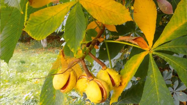 А я не знаю , что тебе сказать Из серии Сто Кадров Красоты смотреть онлайн