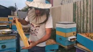 Карника Пешец "даёт стране угля"