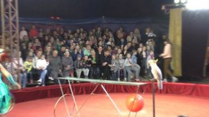 Цирк ШАПИТО ЭКСТРИМ АРЕНА г.Йошкар-Ола