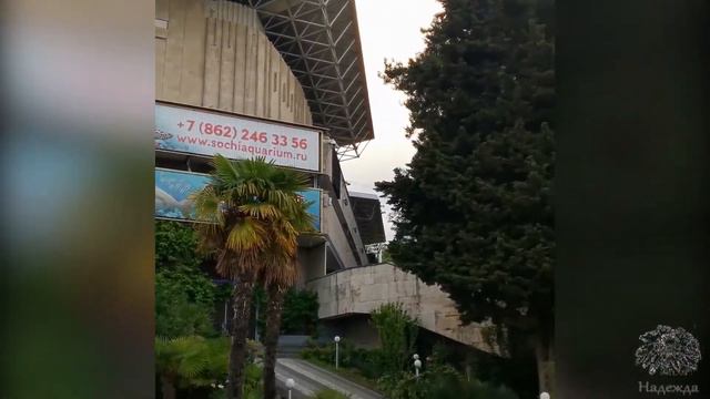 Как это было... Жизнь в Сочи июнь после карантина. Центральная набережная Пляж Маяк Сочи 2021 смотреть онлайн