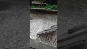 Как правильно ставить диск сцепления