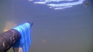 Тест ружья для подводной охоты Pelengas 70+