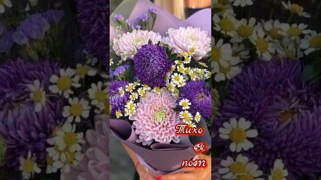 Осенний приветик смотреть онлайн