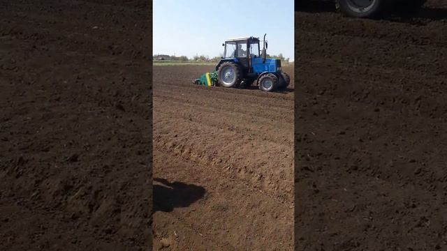 Посев томатов, пекинской капусты и капусты белокачанной координатной ручной сеялкой СКР-3/2□50 ч 1