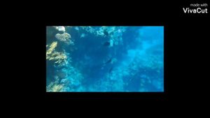 Египет 🇪🇬 Siva Sharm Resort & SPA 5* обзор на пляжа и риф.