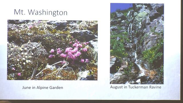 Monday Mornings: "Exploring Nature along the Best Day Hikes of the White Mountains" with R Buchsbau смотреть онлайн