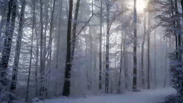 Основной вопрос религии. Беседы на Евангелие от Марка. Глава 12. Стихи 12-34. смотреть онлайн