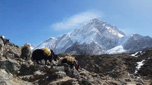 Трек базовый лагерь Эвереста от Луклы Непал | Everest base camp trekking Nepal