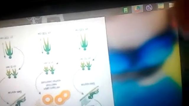 Cайт аквапарка Лебяжий смотреть онлайн