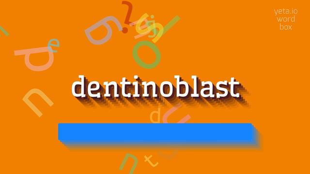 DENTINOBLAST - HOW TO SAY DENTINOBLAST? dentinoblast