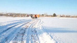 Открытие питомника хаски в экопоселке "Сибирские просторы"