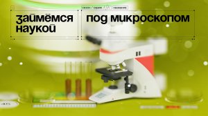 Под микроскопом. 4 серия | Займемся наукой. Веб-сериал