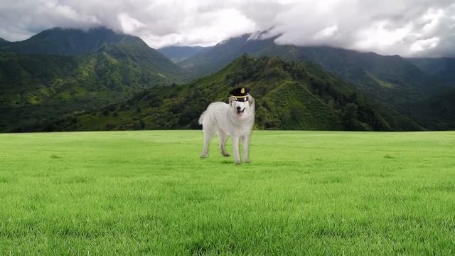 Самая Большая Собака в Истории смотреть онлайн