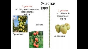 Бизнес планирование в сельском хозяйстве