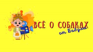 Всё о собаках для детей и их родителей. Выставка собак.