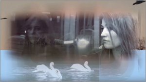 Милан Савич - Улетит стая.