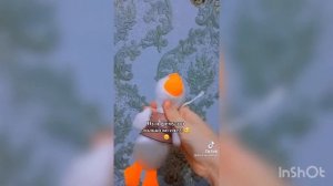 Утка из ТТ |Лалафанфан | уточка ЛАЛАФАНФАН | канал Бумажный бутик ❤️#утка