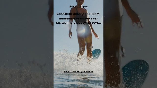 23 Факт о спорте #shorts #sport