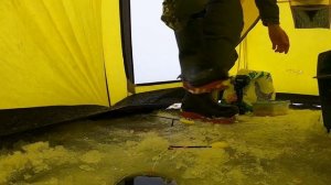 жор крупной плотвы на вымя  чудское озеро зимняя рыбалка