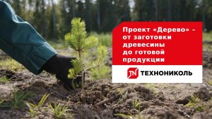 Проект «Дерево» от ТЕХНОНИКОЛЬ –  от заготовки древесины до готовой продукции