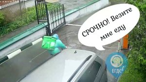 Бешеная доставка еды
