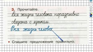 Упражнение 3 - ГДЗ по Русскому языку Рабочая тетрадь 2 класс (Канакина, Горецкий) Часть 1