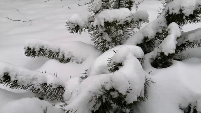 Предновогодний денек, заснеженная дача, баня, пеку пирожки с капустой и мясом. смотреть онлайн