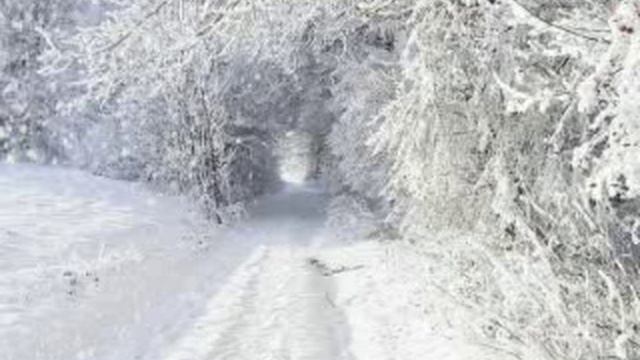 Веня Д'ркин "Одиноким одиноко" смотреть онлайн