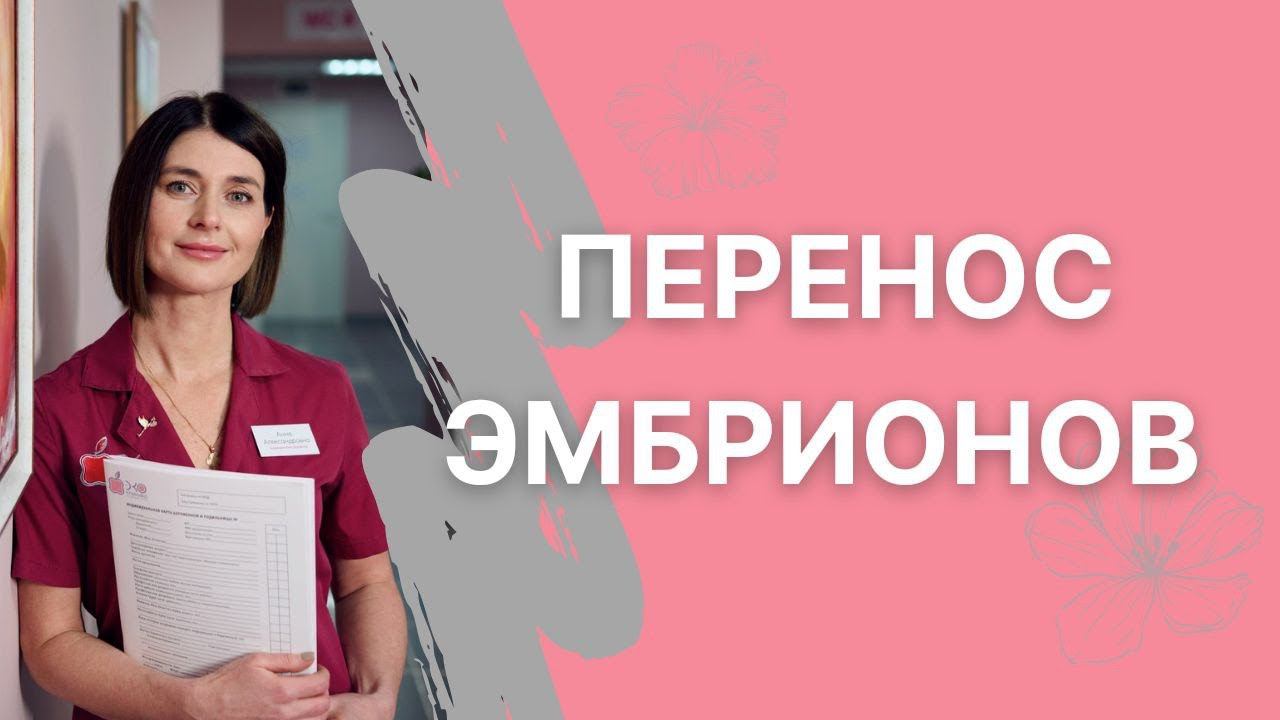 Все детали о переносе эмбрионов