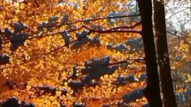 49)Что такое " гипноз ". смотреть онлайн