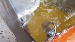 Глючит эхолот LUCKY FF 918