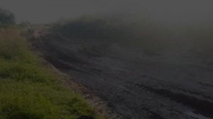 Десна 220 Фантом