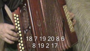 Ромашки спрятались с нотами в цифрах