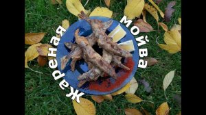 Жареная мойва в казане на костре. Идеальная закуска к пиву.