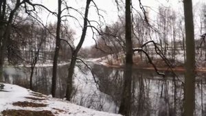 И.С.Тургенев. «Утро туманное, утро седое…»