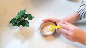 АНИВОЗРАСТНАЯ ЛИФТИНГ МАСКА ДЛЯ ЛИЦА! Лавровый лист  эффективнее ботокса! Убирает морщины !