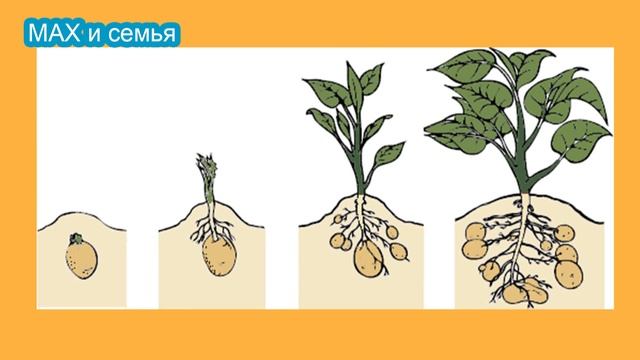 Откуда берется Картошка для детей смотреть онлайн