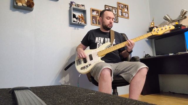Hysteria bass cover