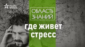 Как не слететь с катушек в самоизоляцию. Лекции биолога Дмитрия Кулиша