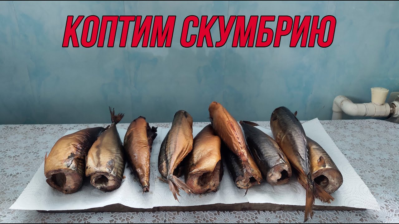 Копченая скумбрия в самодельной коптильне из бочки
