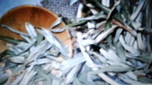 Листья облепихи: полезные свойства и противопоказания.