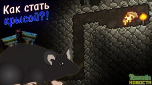 ТРАНСФОРМАЦИЯ В КРЫСУ В ТЕРРАРИИ И НОВАЯ НАСТОЛКА // НОВОСТИ ПО ТЕРРАРИИ