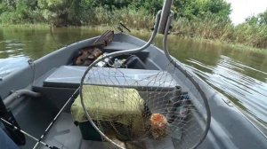 Поездка в низовье Астраханских рек. Рыбалка на сазана с лодки. Двое суток на диком острове..