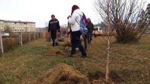 Аллея старшеклассников выросла в Ангарске