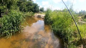 По МАЛОЙ РЕКЕ В ЗАБРОДКУ.  Это понравится каждому.