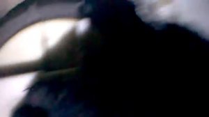 бензонасос пежо 406